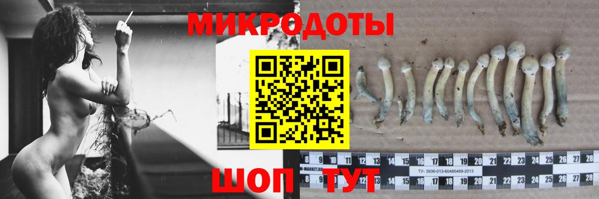 Псилоцибиновые грибы Magic Shrooms Родники
